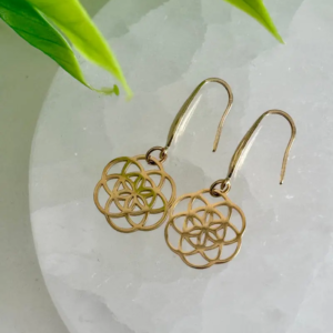 Boucles d’oreilles Floralis acier inoxydable doré graine de vie sur support pierre