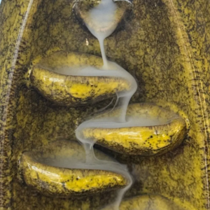 détail fumée cascade à encens jaune effet zen et apaisant